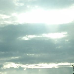 Meet your Posher, Madeline